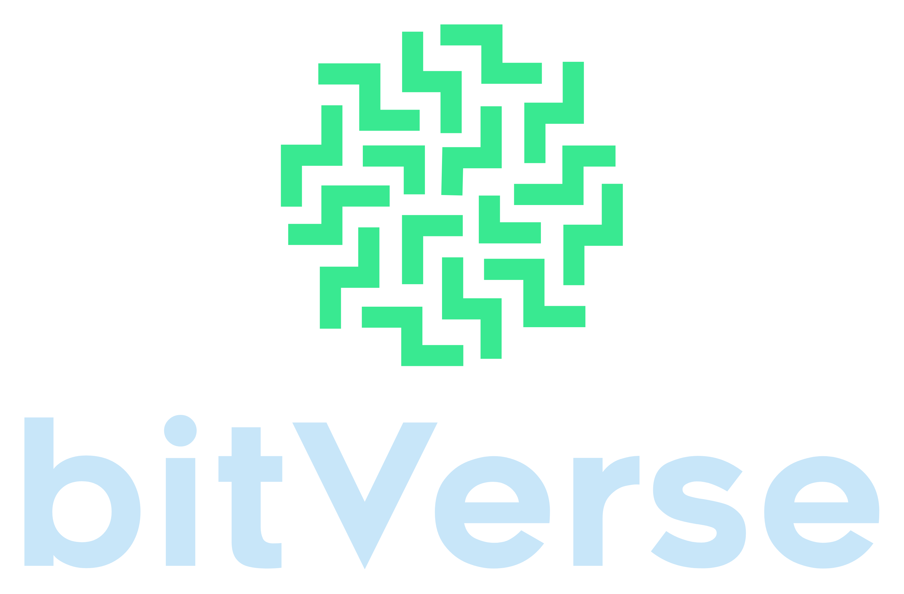 BitVerse Logo